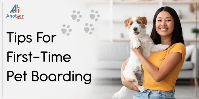 5 Tips For First-Time Pet Boarding