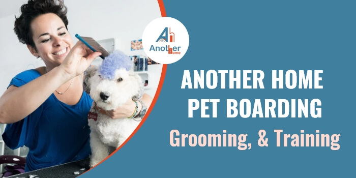 Best Pet Boarding for Professional Grooming & Training