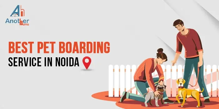 Best Pet Boarding Service In Noida