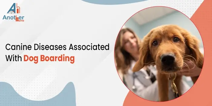 Canine Diseases Associated With Dog Boarding