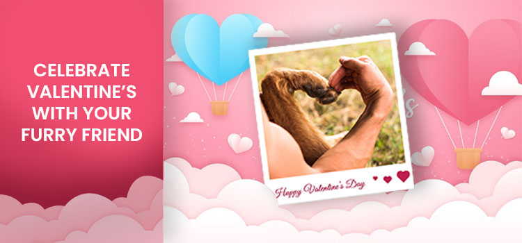 Celebrate Valentine’s with your Furry Friend