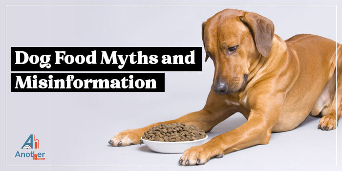 Dog Food Myths and Misinformation