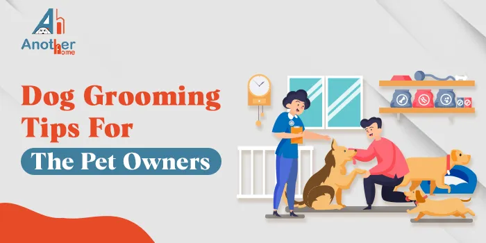 Pet Grooming Near Me: Essential Tips for Your Pet’s Health and Well-Being