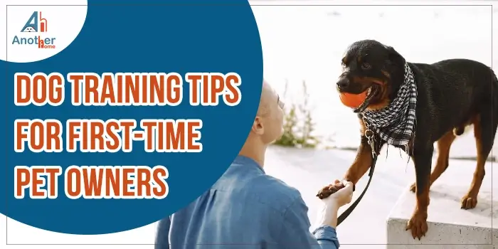 Dog Training Tips For First-Time Pet Owners
