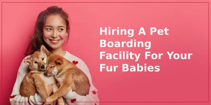 Consider These Before Hiring A Pet Boarding Facility For Your Fur Babies