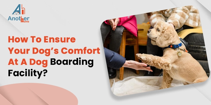 Boarding homes for dogs near me hot sale