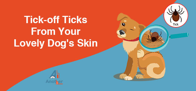 Tick-off Ticks From Your Lovely Dog's Skin