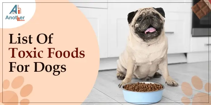List Of Toxic Foods For Dogs