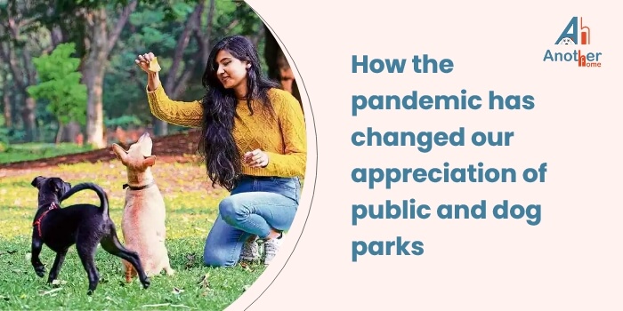 Pandemic Has Changed Our Appreciation Of Public And Dog Parks