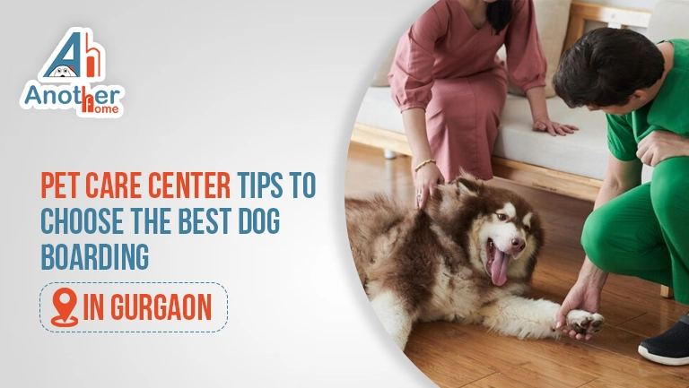 Pet Care Center Tips to Choose the Best Dog Boarding Gurgaon