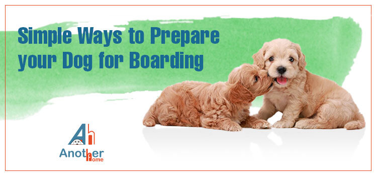 5 Simple Ways to Prepare your Dog for Boarding