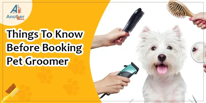 Things To Know Before Booking Pet Groomer