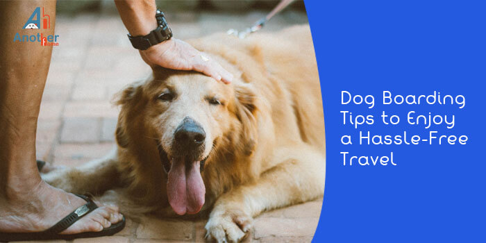 Dog Boarding Tips to Enjoy a Hassle-Free Travel