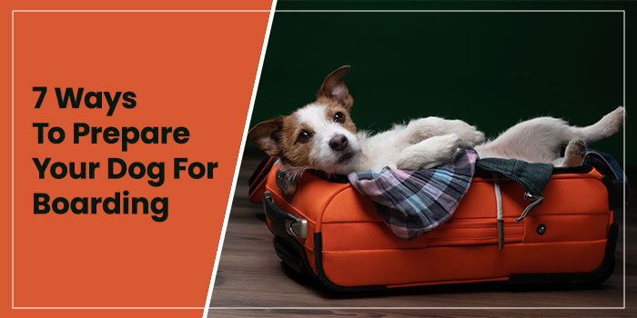 7 Ways To Prepare Your Dog For Boarding