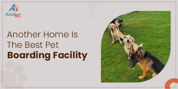 Why Is Another Home The Best Pet Boarding Facility?