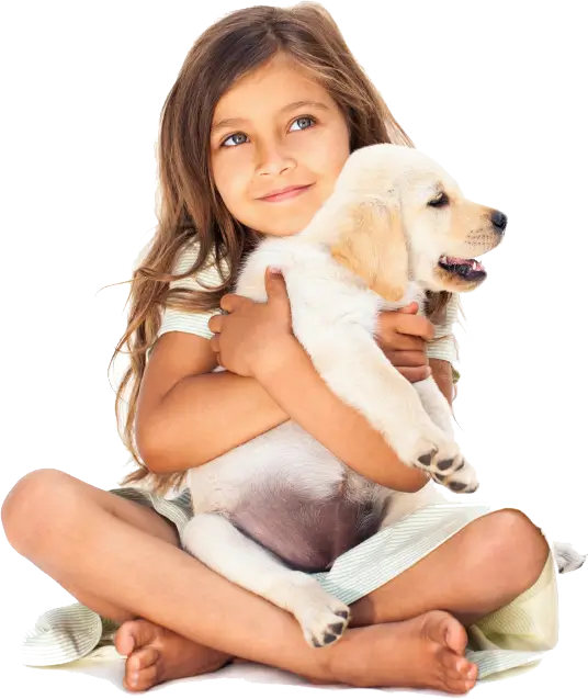 Pet care services